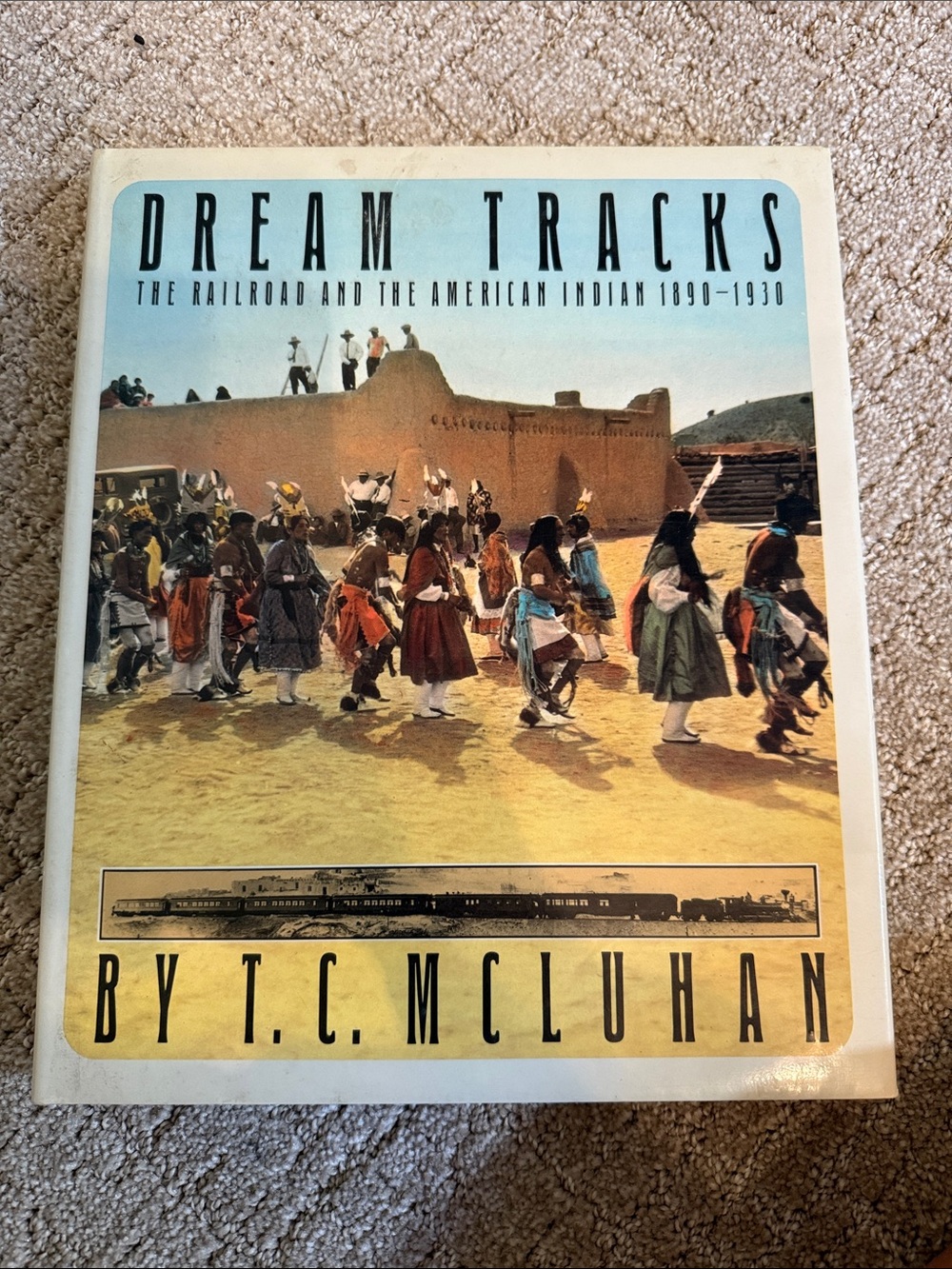Dream Tracks: The Railroad and the American Indian, 1890-1930 by T. C. McLuhan